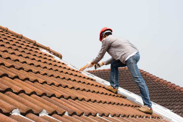 Best Roof Maintenance and Cleaning  in West Hempstead, NY